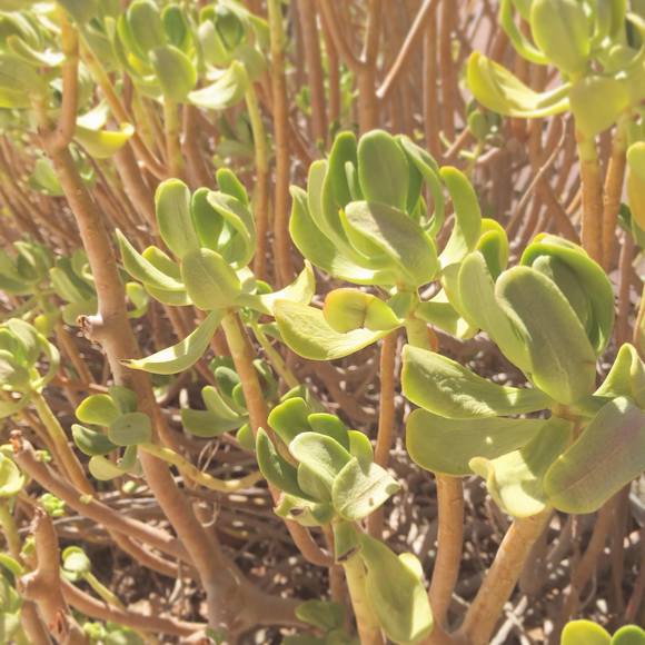 Meet your Posher, Claire - Picture 1 of 1